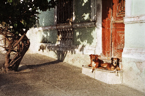 Bild: Kuba Street von Klaus Westermann