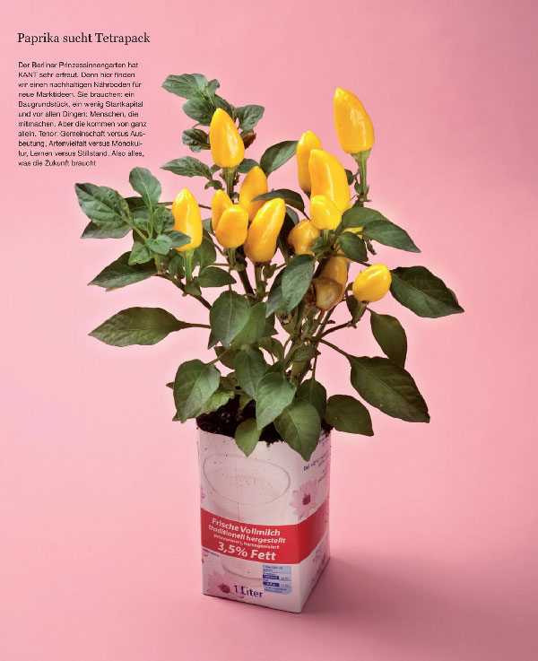 Bild: Editorialfotografie von Klaus Westermann